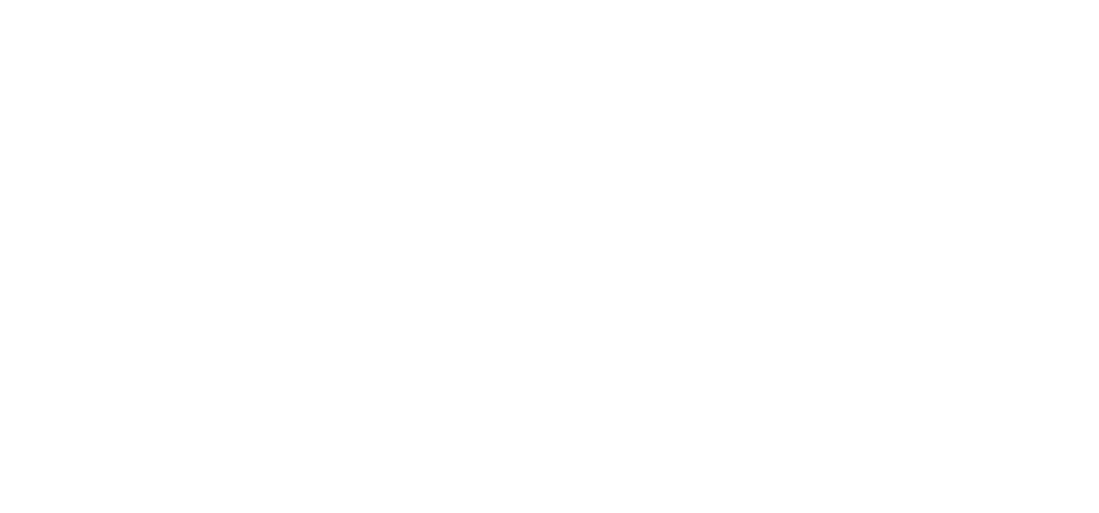 The NordVPN logo, representing a leading virtual private network service that encrypts your internet connection, ensures online privacy, and protects your data